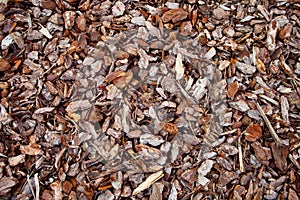 Tree Bark Mulch