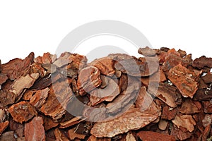 Tree bark pieces isolated on white background. top view