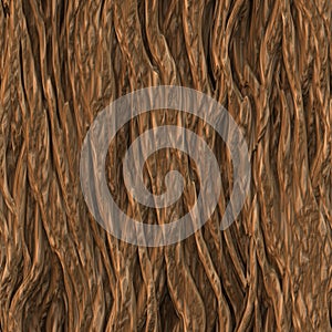 Tree Bark Texture photo