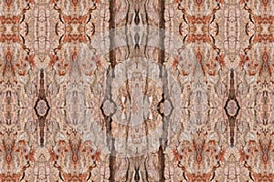 Tree bark texture pattern. wood rind for background