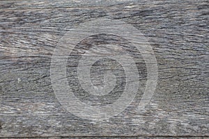 Tree bark texture woodbackground