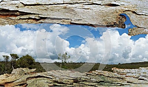 Tree Bark Window to Bushland