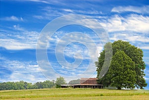 Tree and barn in countryside