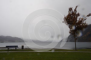 Tree and bench on the bank of Walensee lake in town Walenstadt with overcast sky and copy space.