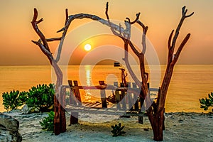 Tree bench on the sunset over the sea