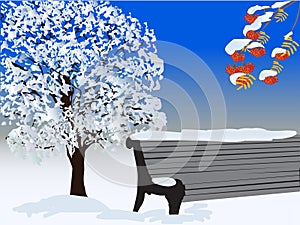 Tree and bench under white snow