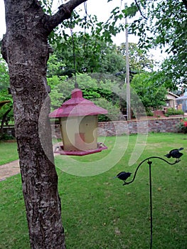 Tree with bird house