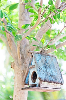 Bird House on a tree