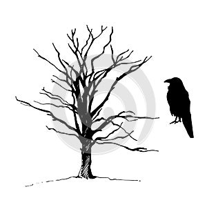 Tree and bird raven silhouette, hand drawn vector illustration