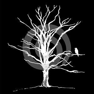 Tree and bird raven silhouette, hand drawn vector illustration