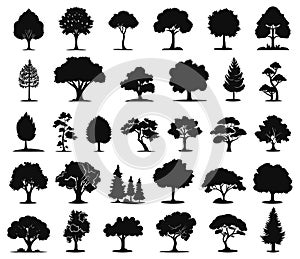 Tree black icons. Various coniferous and deciduous trees simple silhouettes, beautiful decorative plants graphic