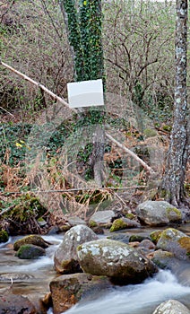 Tree with a blank cartel next to a waterfall photo