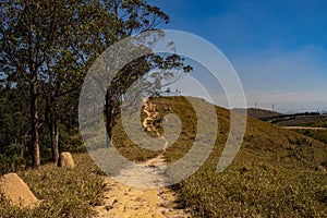 Tree blue sky nature green dirt road mountains jardim belvedere