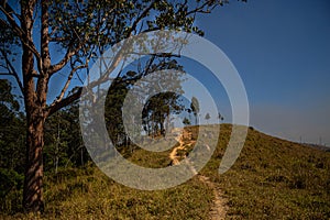 Tree blue sky nature green dirt road mountains jardim belvedere