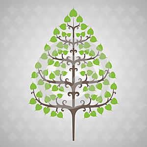 Tree bodhi leaf
