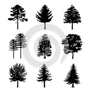 Tree Branch Arid Black Silhouettes Nature Forest Vector Illustration