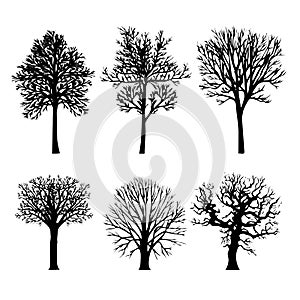 Tree Branch Arid Black Silhouettes Nature Forest Vector Illustration