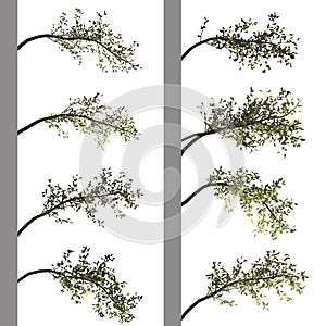 Tree branch background. 3D Illustration.