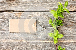 Tree branch with blank tag