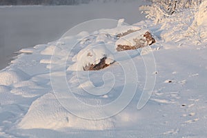 A tree branch covered with a thick layer of frost on the river bank. Beautiful winter picture