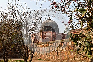 A tree branch create some dramatic view of monument at humayun tomb memorial from the side of the lawn at winter foggy morning