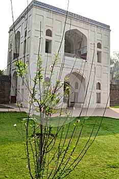 A tree branch create some dramatic view of monument at humayun tomb memorial from the side of the lawn at winter foggy morning