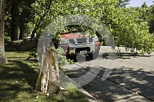 Tree branch falling on truck