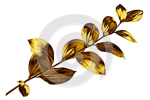 Tree branch with golden leaves on white background isolated closeup, decorative gold color plant sprig, yellow shiny metal twig