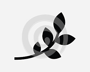 Tree Branch Icon. Leaves Leaf Nature Olive Grow Plant Growth Natural Organic. Black White Sign Symbol EPS Vector