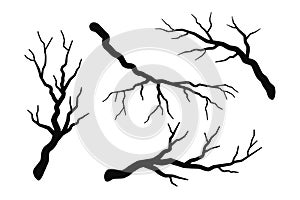 Tree branch without leaves silhouettes set isolated on white