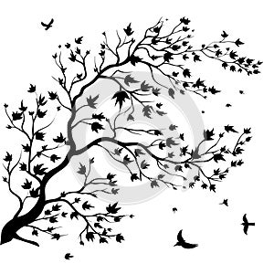 Tree branch without leaves silhouettes vector.tree branches silhouette Vector illustration.Tree branch vector on white