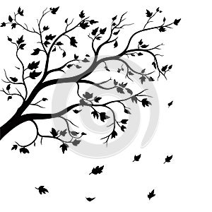 Tree branch without leaves silhouettes vector.tree branches silhouette Vector illustration.Tree branch vector on white