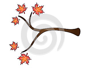 Tree branch with leaves - vector full color illustration. A branch of an autumn maple with red-orange leaves. Maple leaves in autu