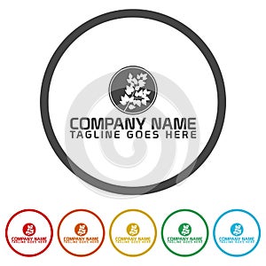 Tree branch logo template. Set icons in color circle buttons