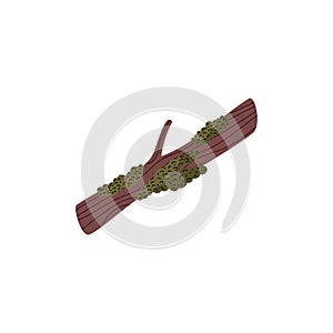 Tree branch in moss from Northern forest or tundra, vector illustration isolated.