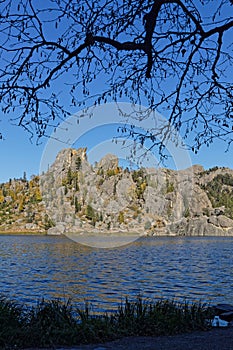 Tree branch over the Sylvan Lake