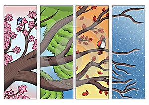 Tree Branch Passing Through the Four Seasons