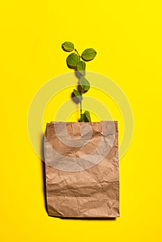 Tree branch and recycled paper bag on yellow