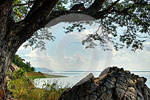 Tree branch and rock at lake : Khon Kaen , Thailand