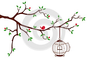 Tree Branch with rounded bird cage
