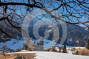 Tree branch with scenic view on hiking village Zell Pfarre (Sele), Austrian Alps, Carinthia (Kaernten), Austria, Europe
