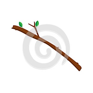 Tree branch vector