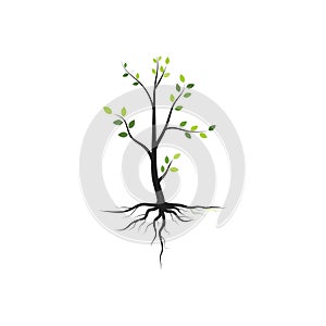 Tree branch vector ilustration design