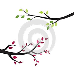 Tree branch vector ilustration design