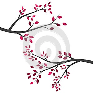 Tree branch vector ilustration design