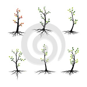 Tree branch vector ilustration design