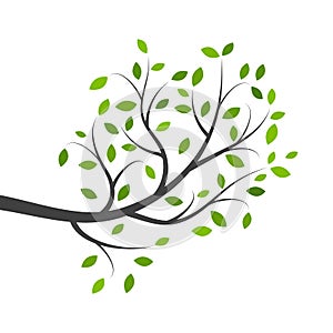 Tree branch vector ilustration design