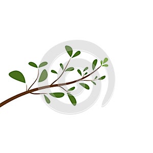 Tree branch vector ilustration design