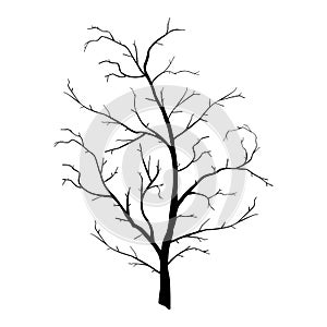Tree branch wood plant silhouette trunk lineart