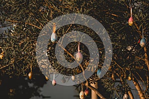 Tree branches adorned with colorful, hanging Easter eggs, each attached by a ribbon. photo